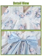 Nspstt Maxi Dress Long - Renaissance Floral Puff Sleeve Costume